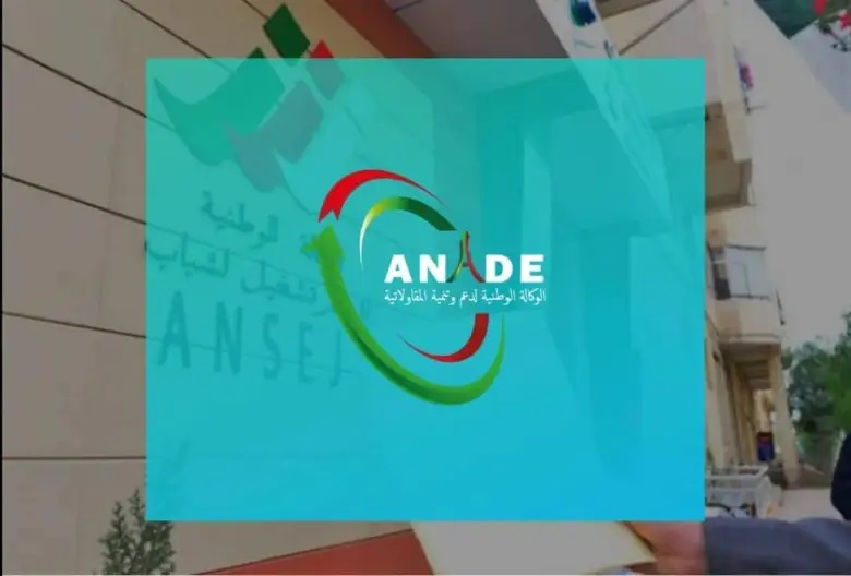آلاف المؤسسات وهمية استفادت من “أونساج”